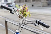 Symbolbild Fahrradlenker vor Stadtkulisse