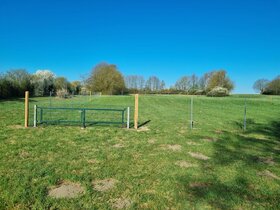 Freilauffläche für Hunde in Wolfsburg-Ehmen