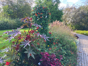 Botanischer Garten in Wilhelmshaven