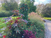 Botanischer Garten in Wilhelmshaven