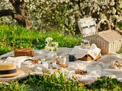 Picknick
