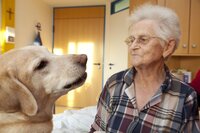 Foto: Hund besucht Frau im Pflegeheim