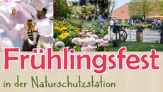 Plakat Frühlingsfest